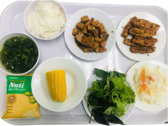 Vegetarian meal tray 05