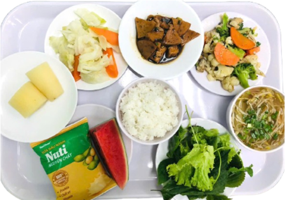 Vegetarian meal tray 06