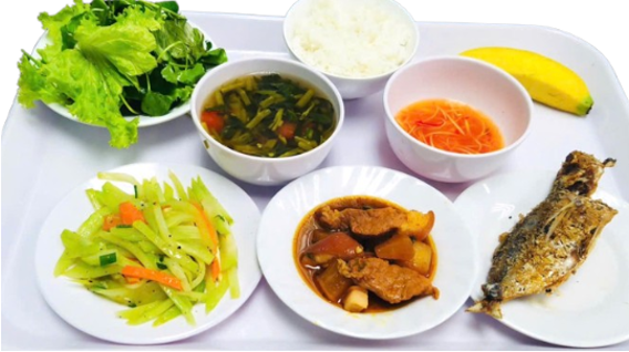 Daily standard meal tray 01